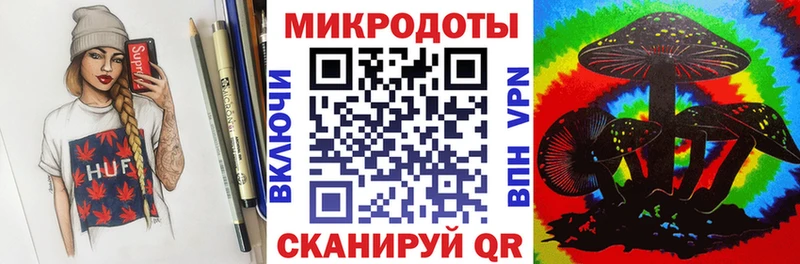 Галлюциногенные грибы Psilocybe  Приволжск 